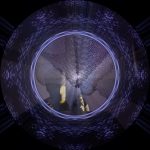 brain wise art installation